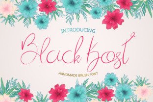 Why Black Kost Deserves a Spot in Your Font Collection